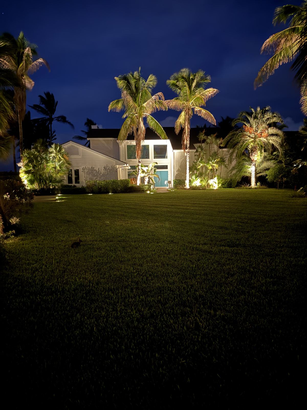 Uplighting on palm trees and pathway lighting at a residential property at night